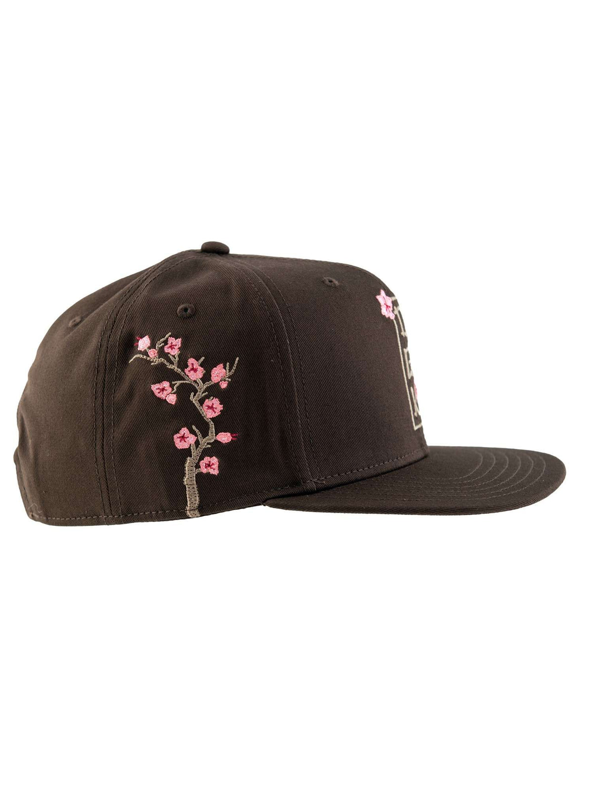 Cap DGK eternity Snapback Brown