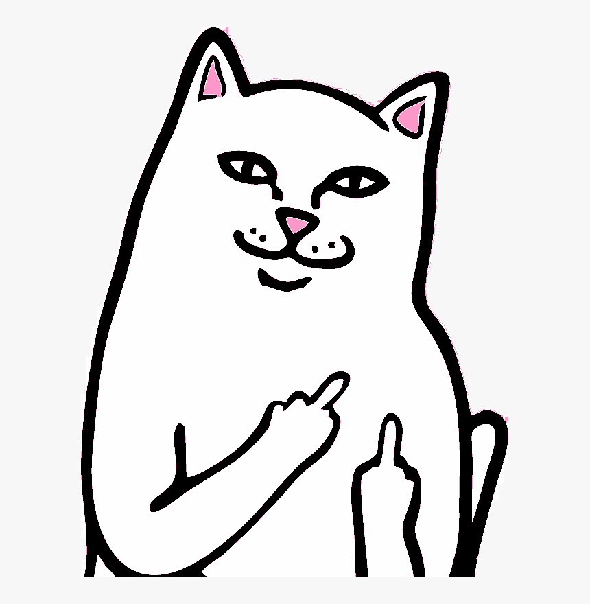 8.0 RipnDip Love is Blind