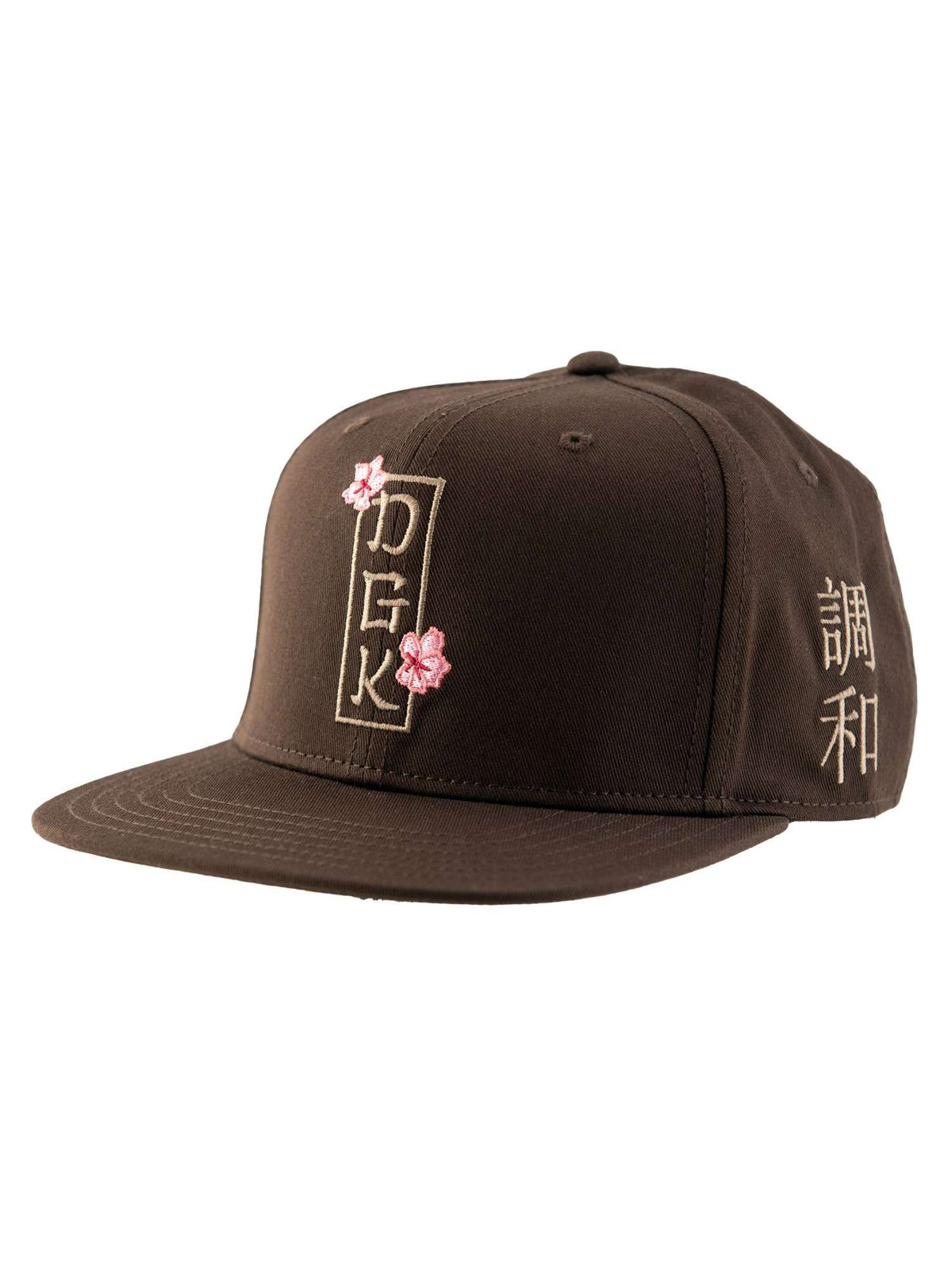 Cap DGK eternity Snapback Brown